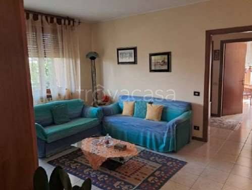 immagine annuncio 7 di 12