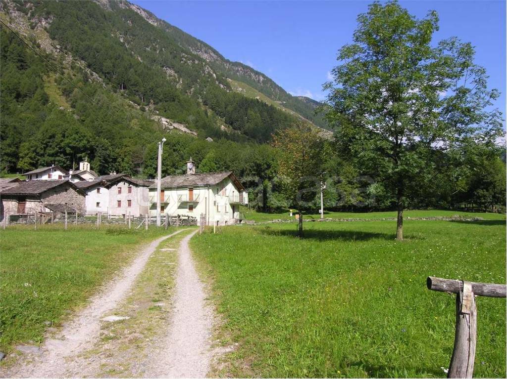 immagine annuncio 2 di 9