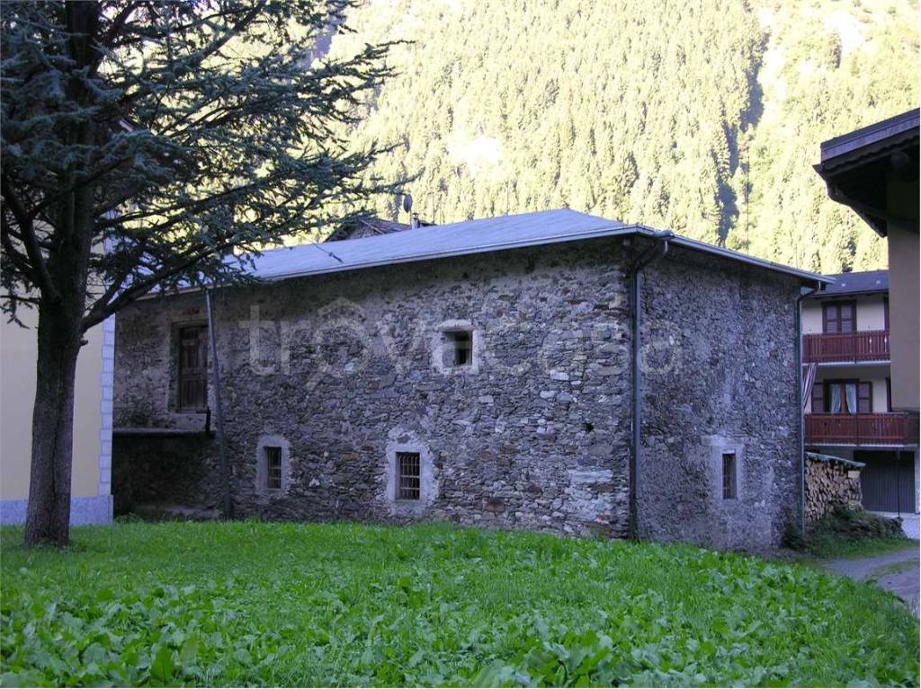 immagine annuncio 2 di 6