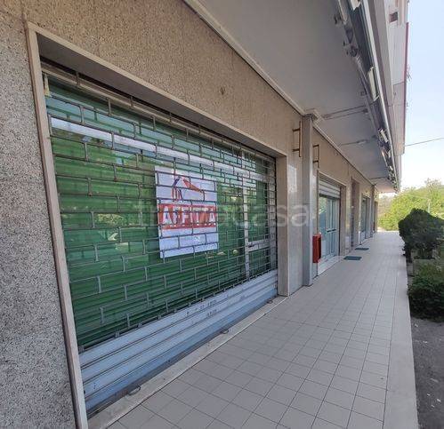 immagine annuncio 2 di 11