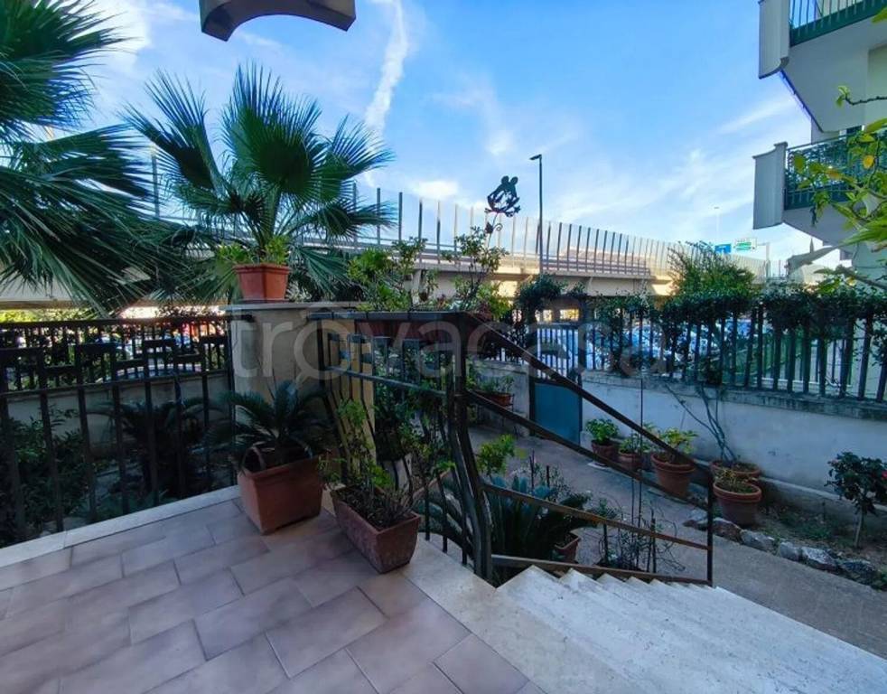 immagine annuncio 9 di 14