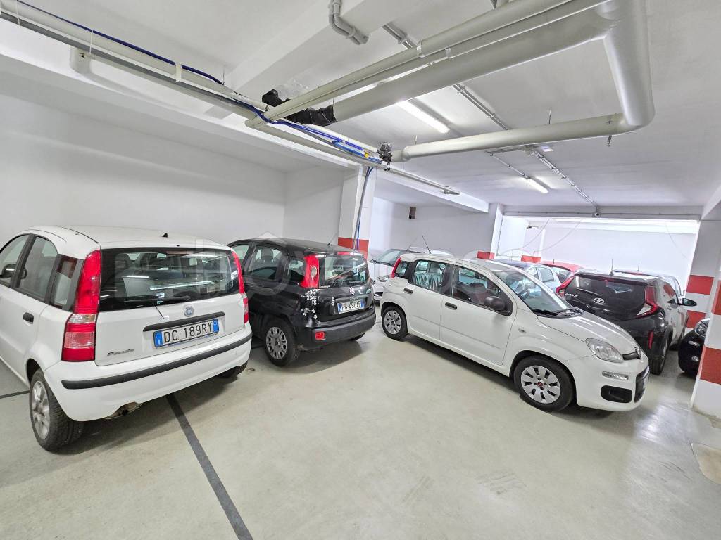 immagine annuncio 12 di 15