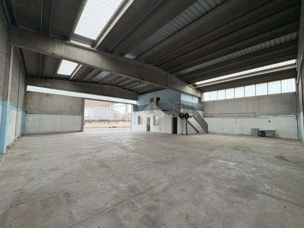 immagine annuncio 2 di 15