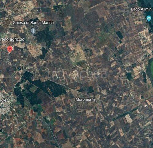 immagine annuncio 2 di 3