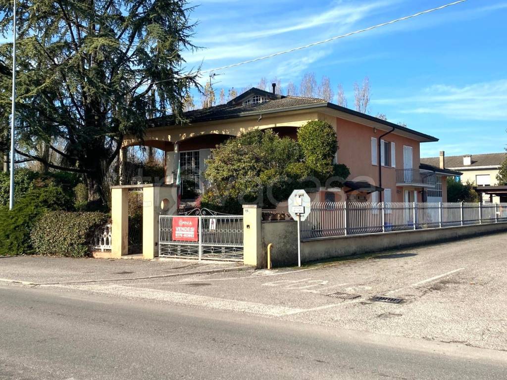 immagine annuncio 2 di 15