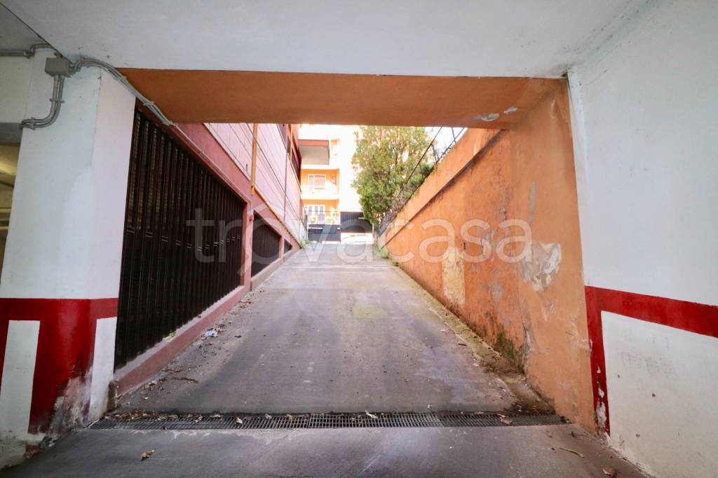 immagine annuncio 3 di 14