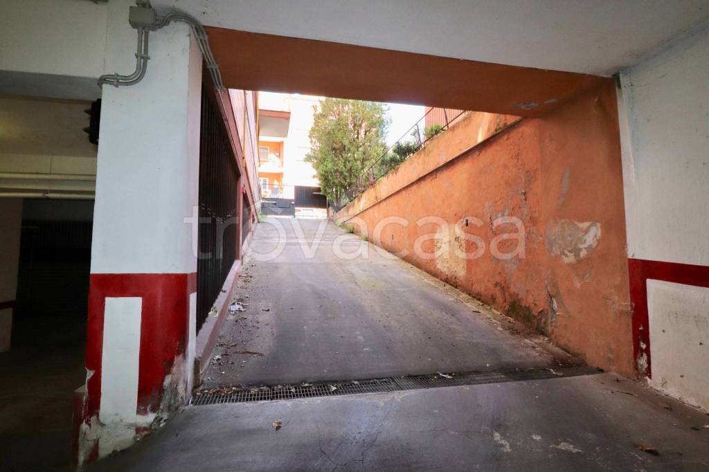 immagine annuncio 4 di 14