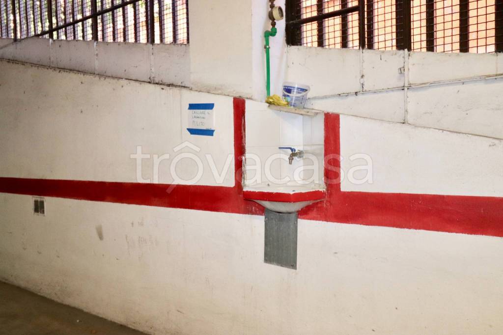 immagine annuncio 5 di 14