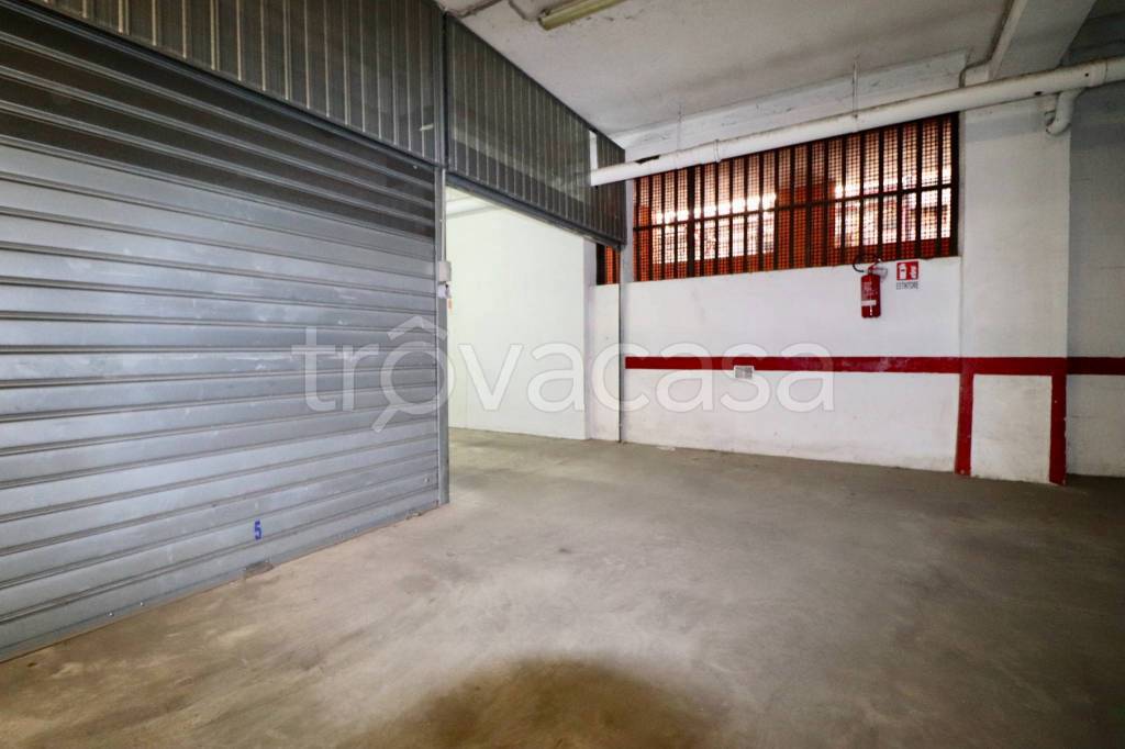 immagine annuncio 6 di 14