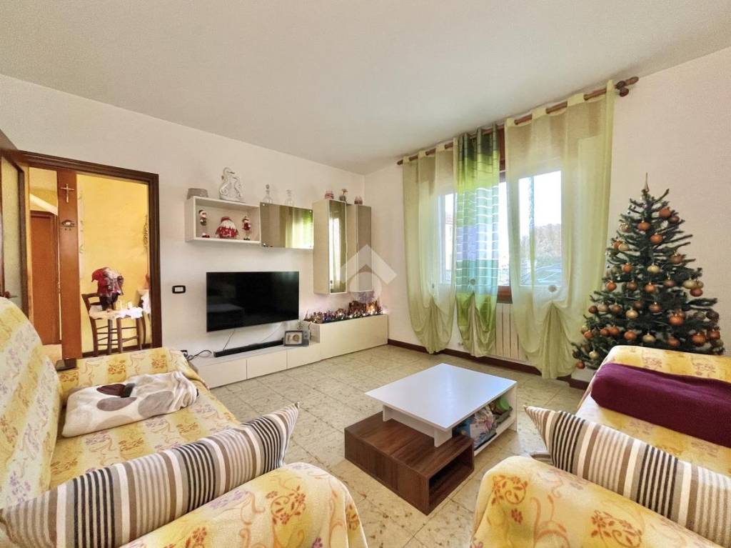 immagine annuncio 3 di 14