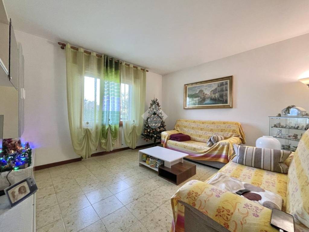 immagine annuncio 4 di 14