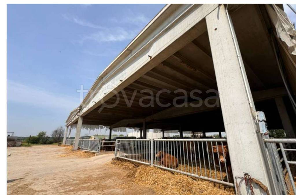 immagine annuncio 3 di 11