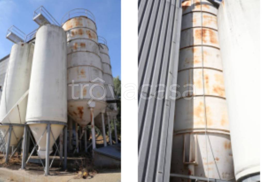 immagine annuncio 6 di 11