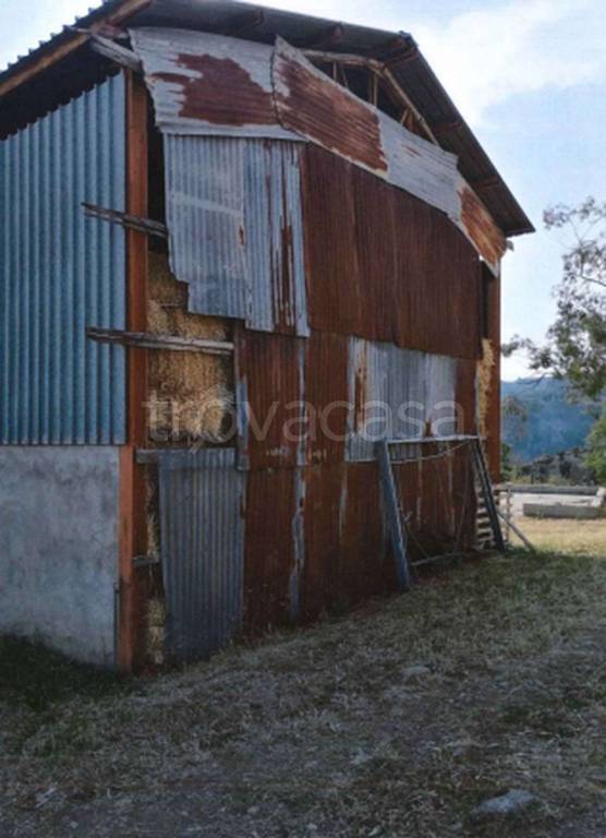 immagine annuncio 2 di 11