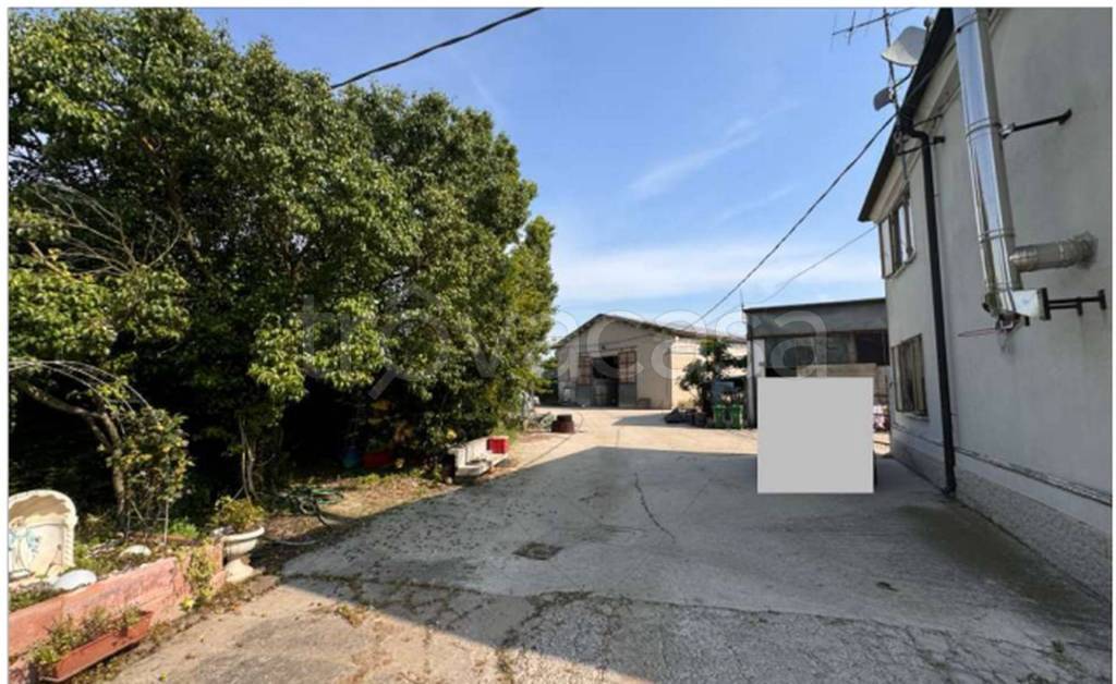 immagine annuncio 6 di 11