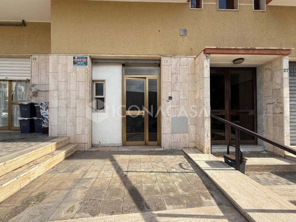 immagine annuncio 10 di 15