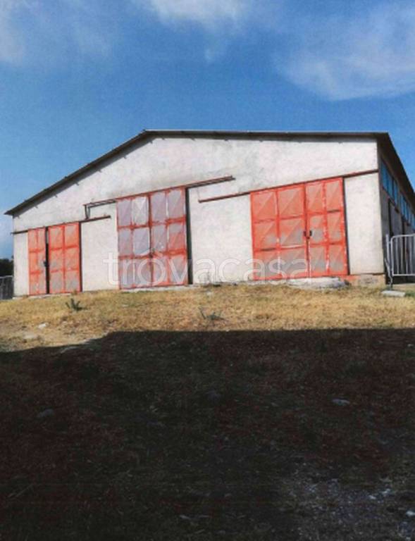 immagine annuncio 3 di 11