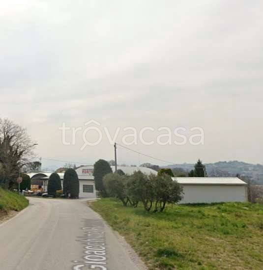 immagine annuncio 3 di 7