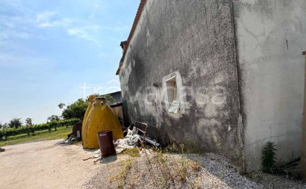 immagine annuncio 10 di 11