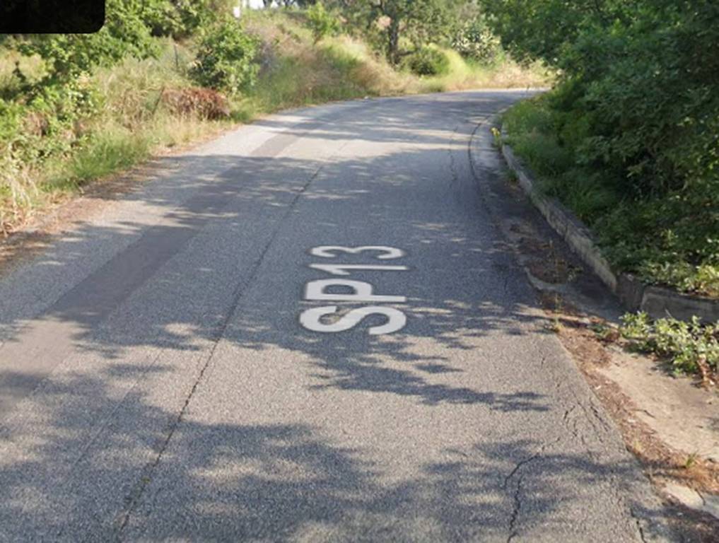 immagine annuncio 5 di 11