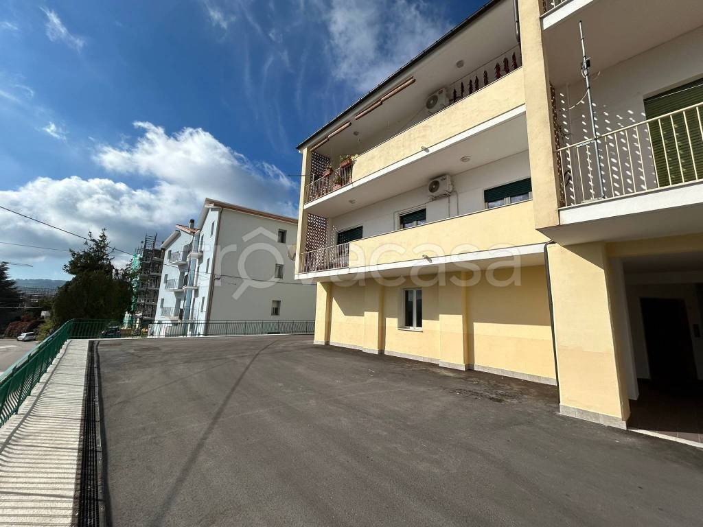 immagine annuncio 10 di 12