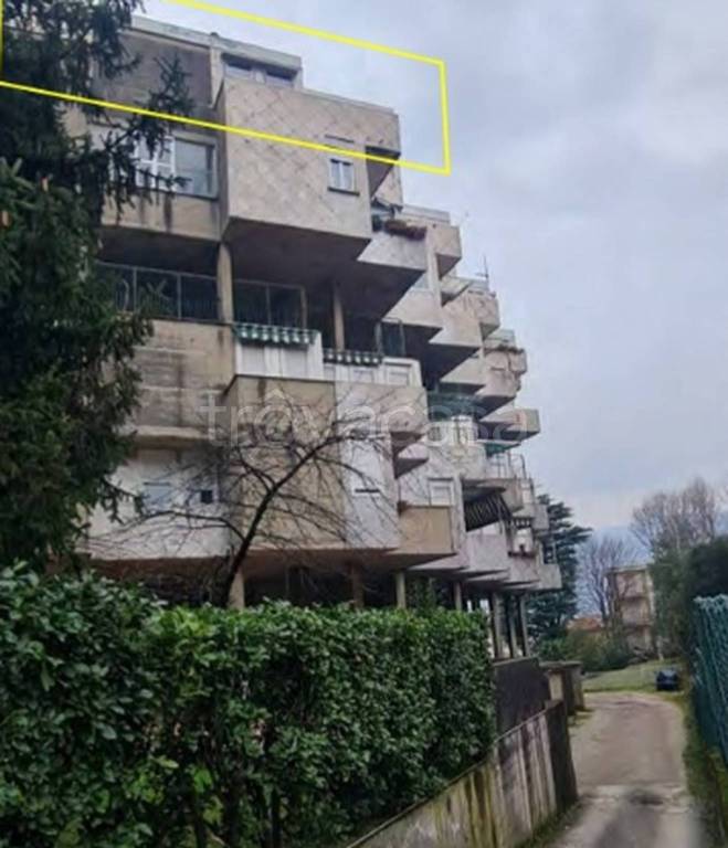 immagine annuncio 9 di 11