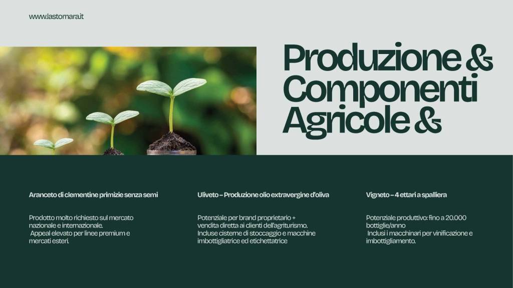 immagine annuncio 8 di 15