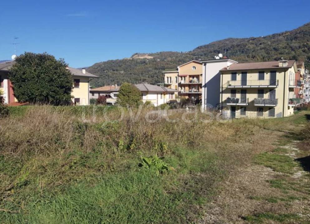 immagine annuncio 2 di 7