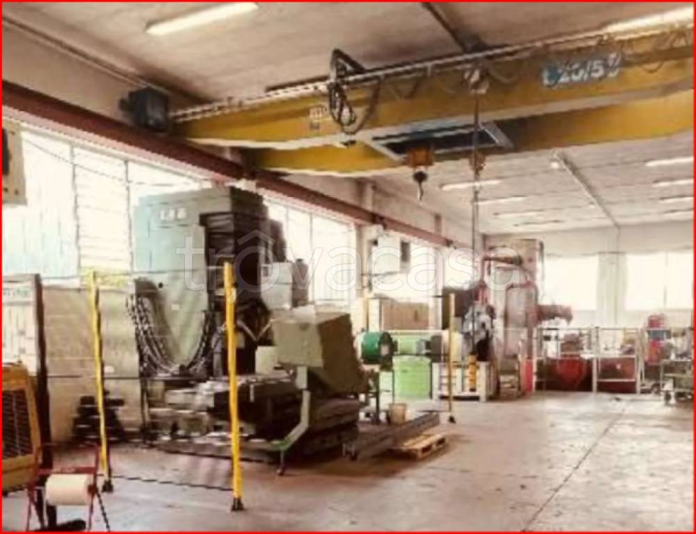 immagine annuncio 4 di 12