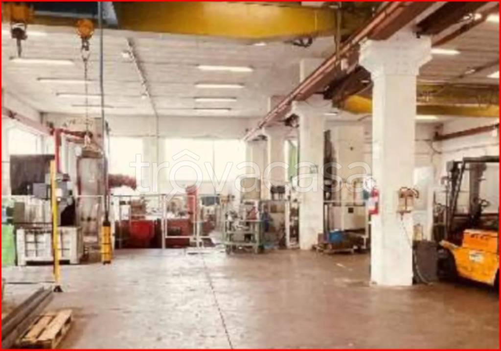 immagine annuncio 5 di 12