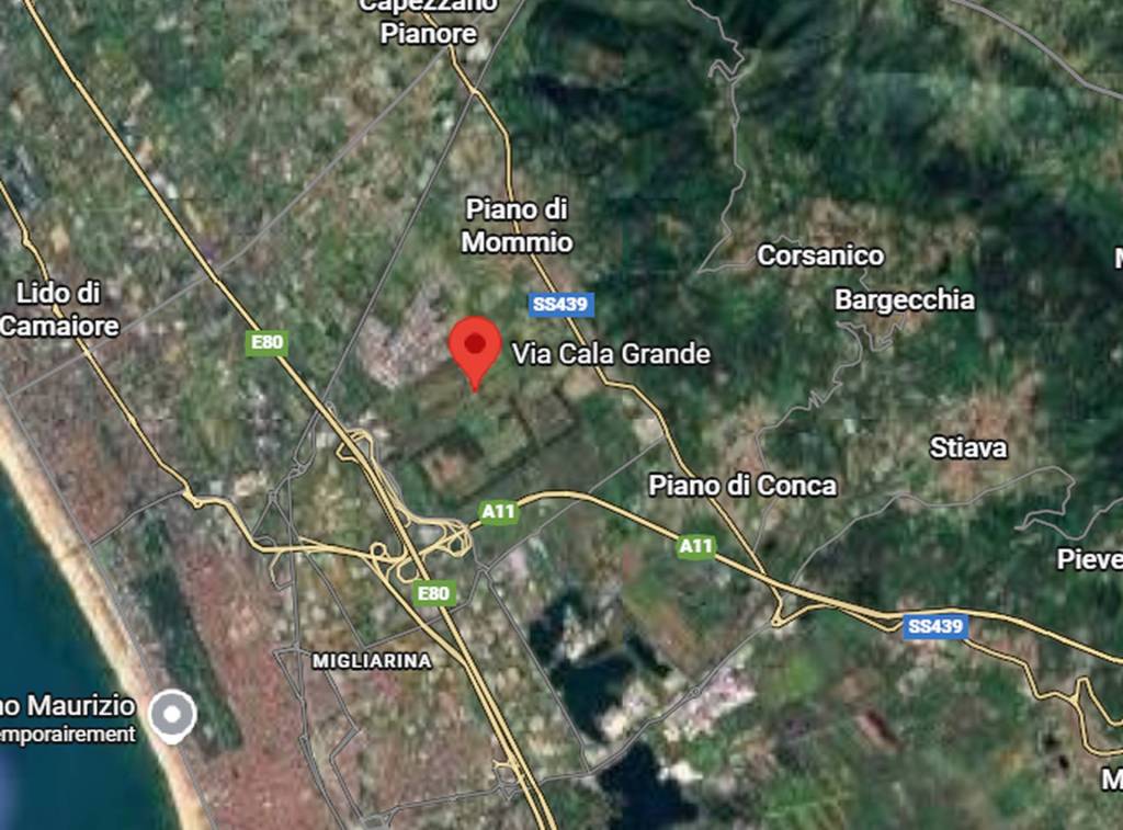 immagine annuncio 2 di 9