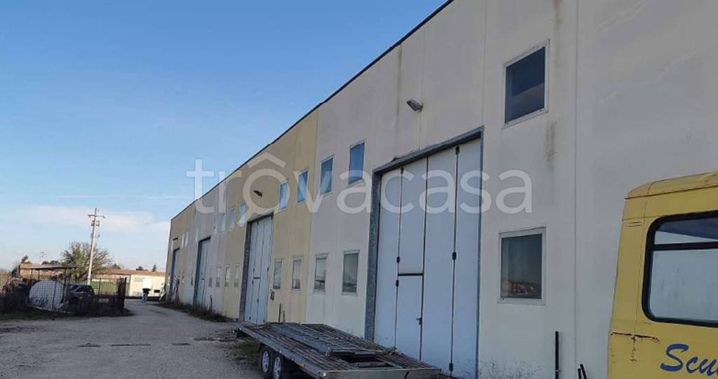 immagine annuncio 6 di 11