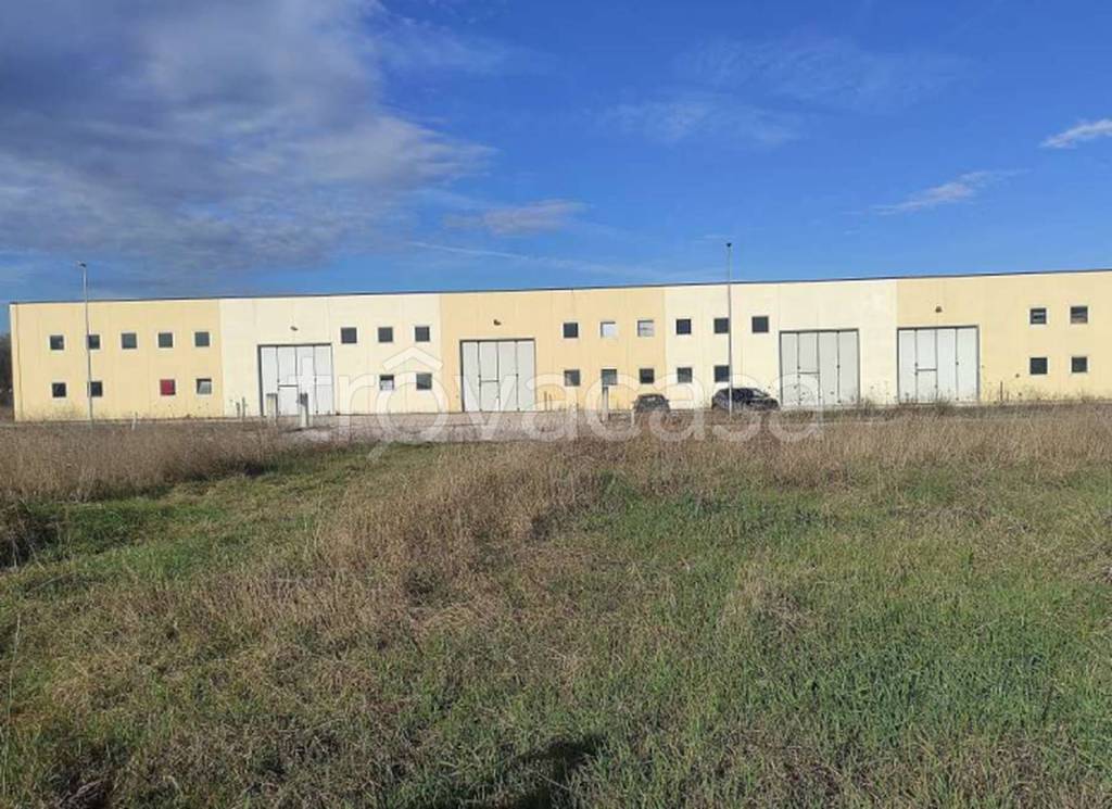 immagine annuncio 7 di 11