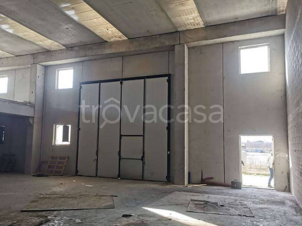 immagine annuncio 9 di 11