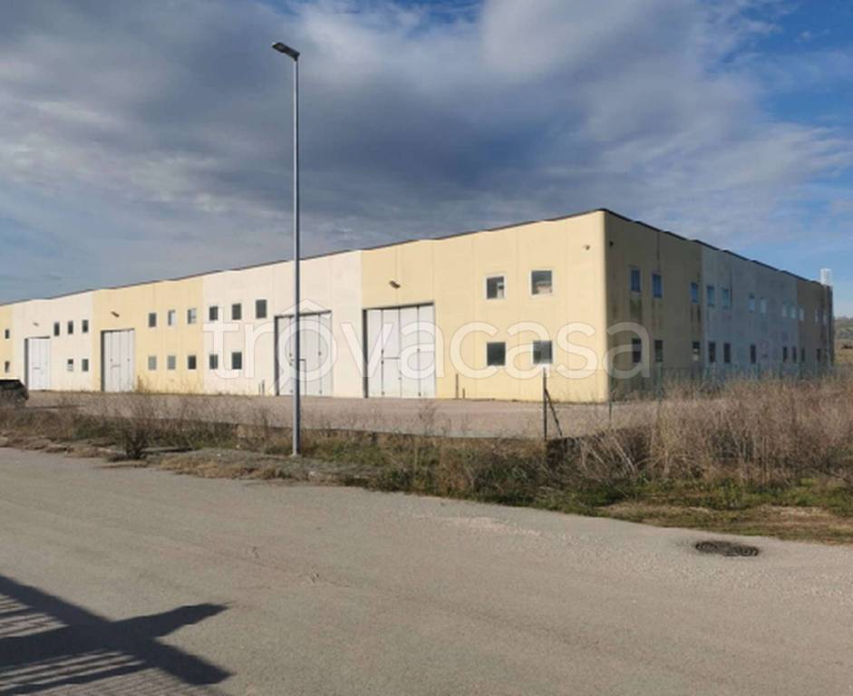 immagine annuncio 10 di 11