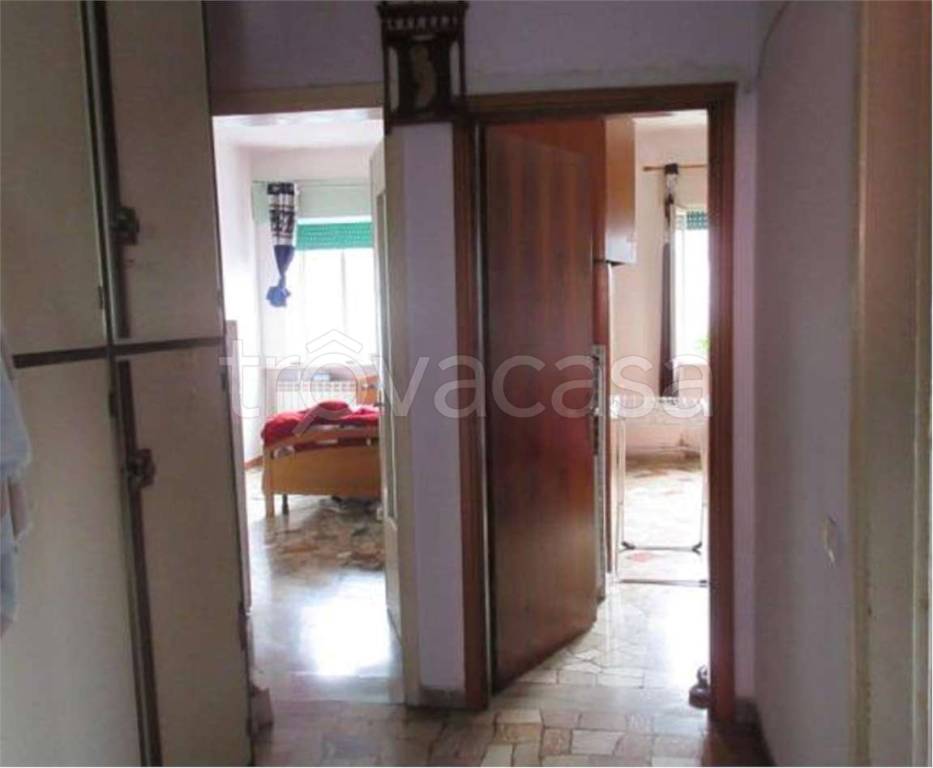 immagine annuncio 6 di 14