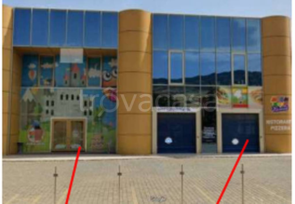 immagine annuncio 1 di 11