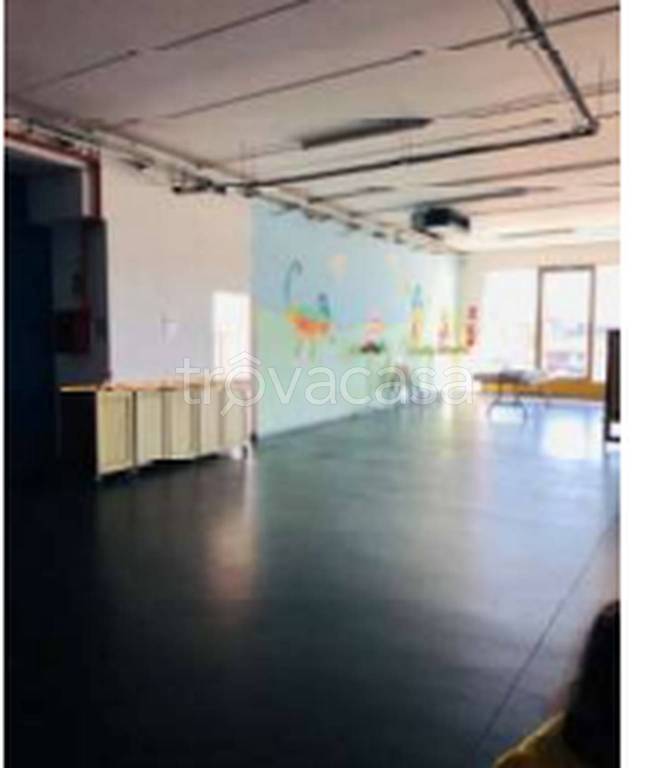 immagine annuncio 5 di 11