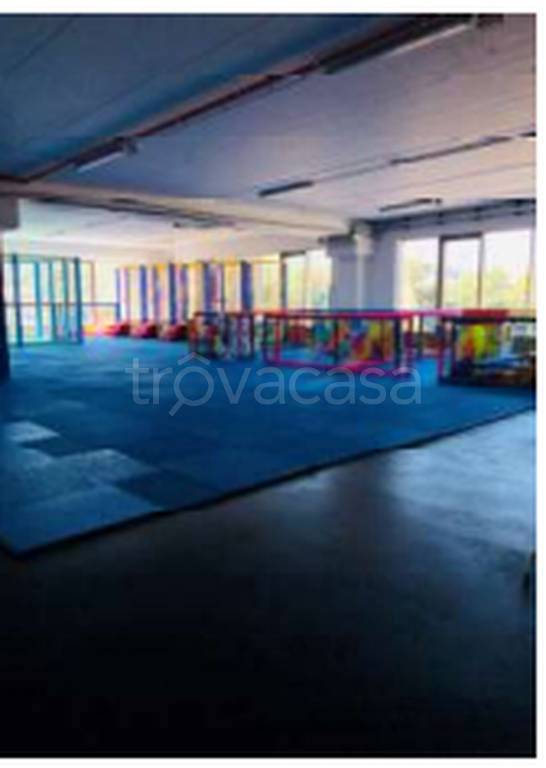 immagine annuncio 7 di 11