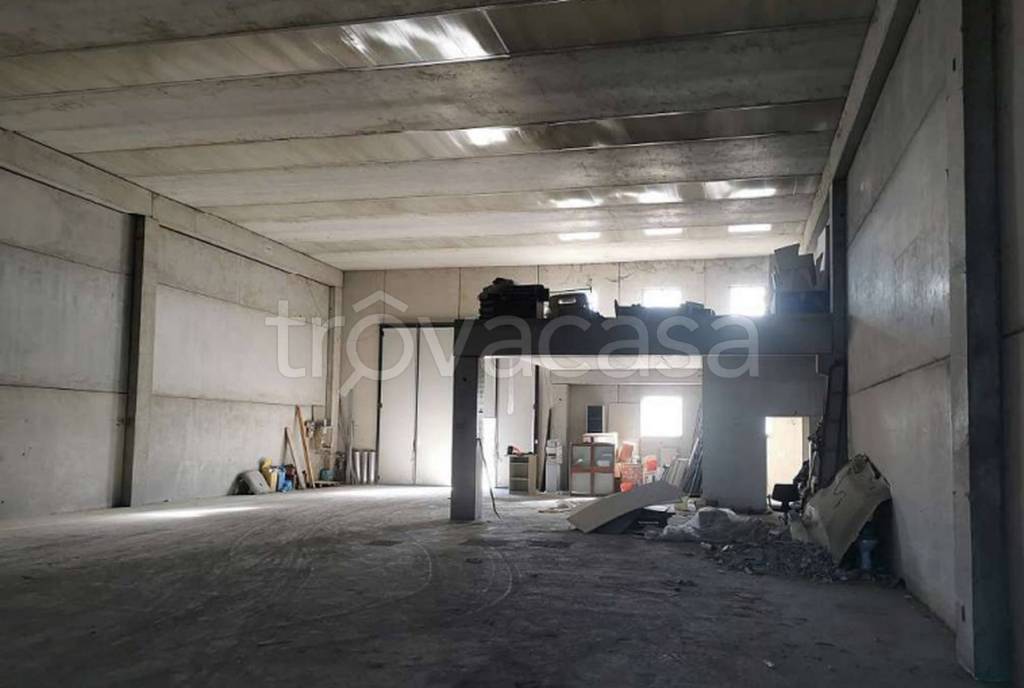 immagine annuncio 1 di 11