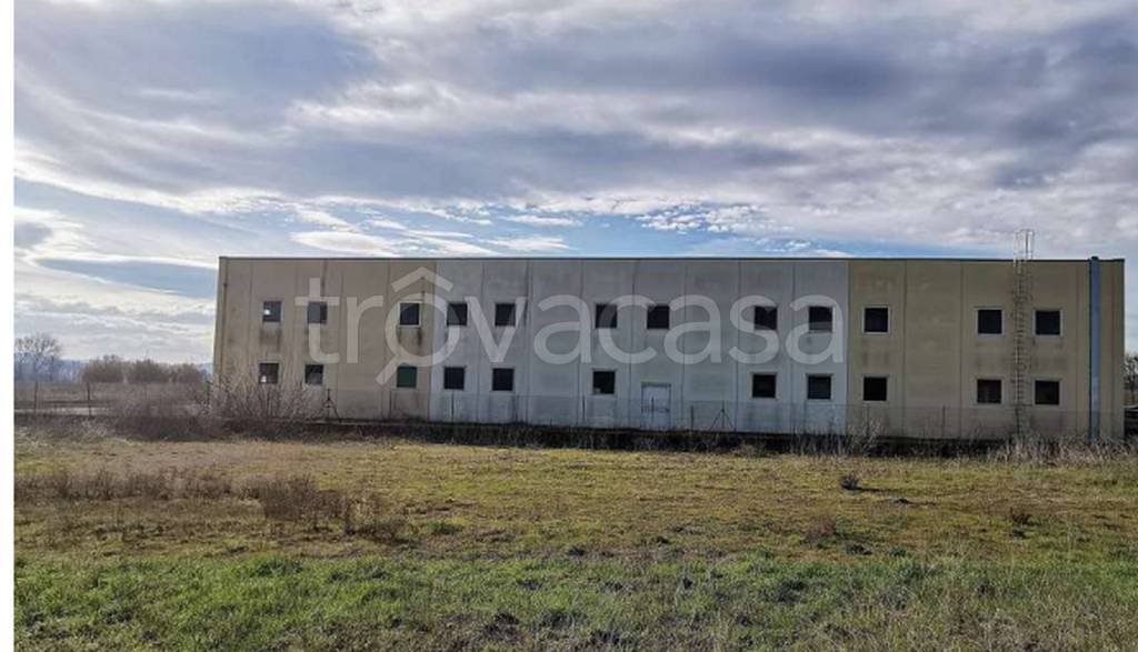 immagine annuncio 4 di 11