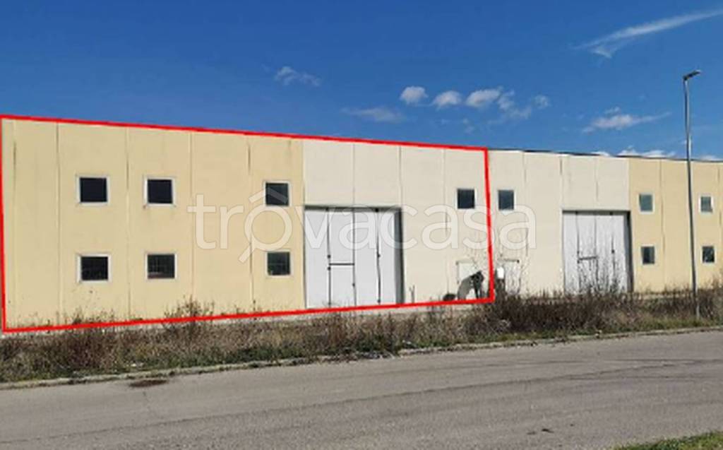 immagine annuncio 1 di 11