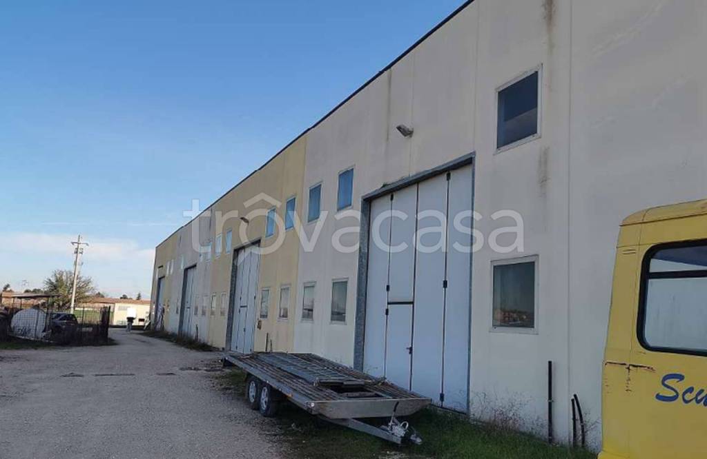 immagine annuncio 6 di 11