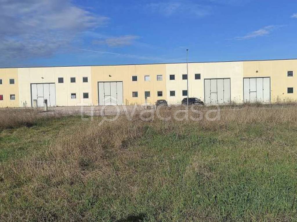 immagine annuncio 7 di 11