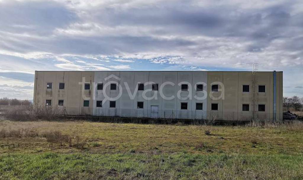 immagine annuncio 4 di 11