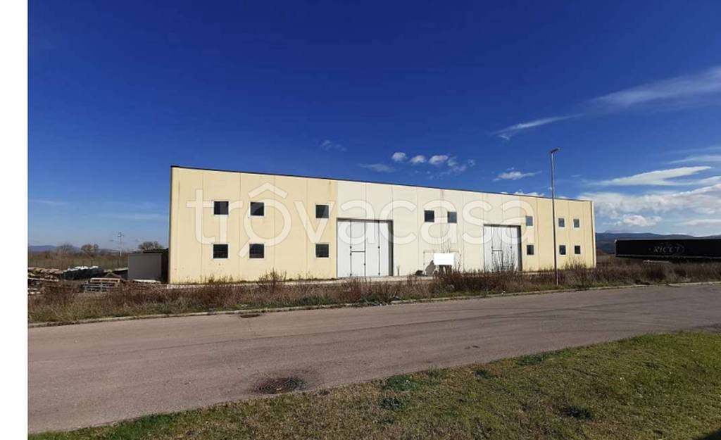 immagine annuncio 8 di 11