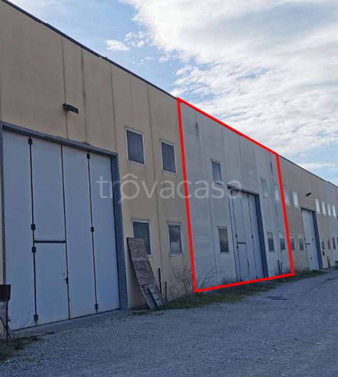 immagine annuncio 9 di 11