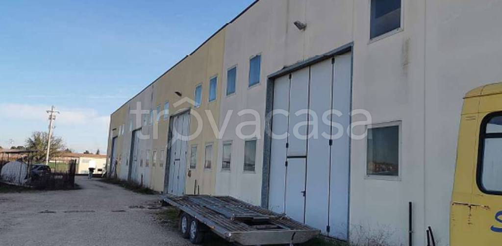 immagine annuncio 6 di 11