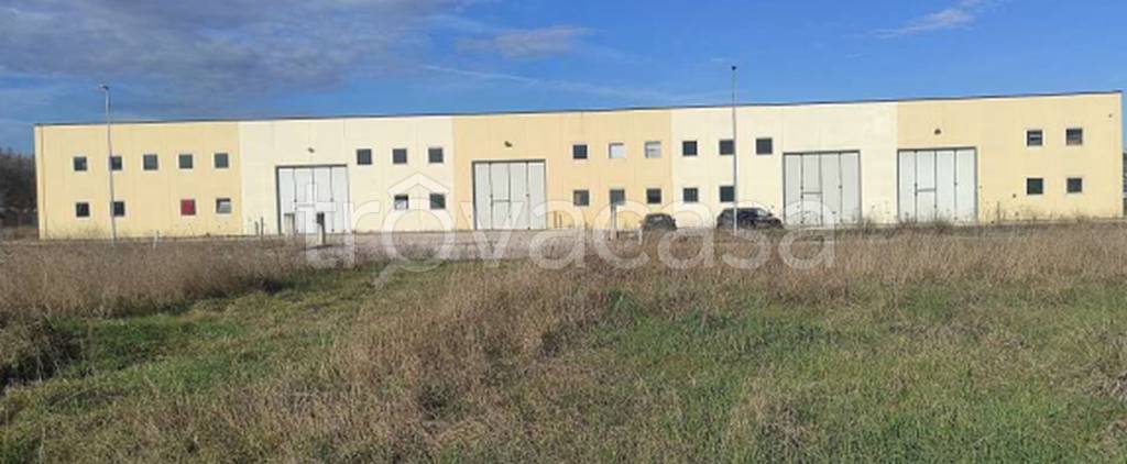 immagine annuncio 8 di 11