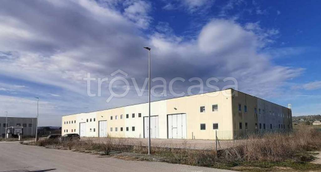 immagine annuncio 10 di 11